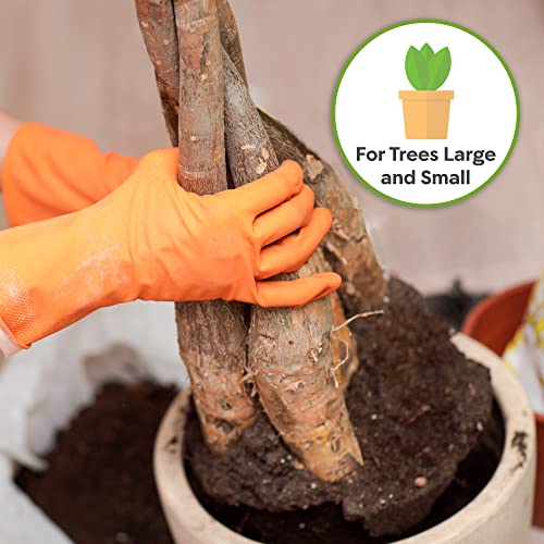 Perfect Plants Money Tree Potting Soil 4qt | Organic Coco Coir Based Plant Mix for Indoor Trees | Quickly Grow Your Indoor Forest - Image 5