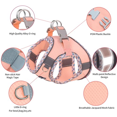AIITLE Kleines Hundegeschirr, Katzengeschirr mit Leine, einstellbares Hundegeschirr mit Schnellverschluss, reflektierende Weste für extra kleine Hunde und Hauskatzen Rosa XXS