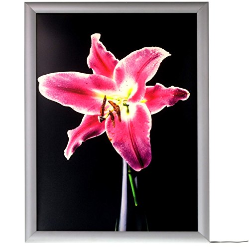 Preisvergleich Produktbild kaufdeinschild LED Rahmen Leuchtrahmen Posterrahmen Plakatrahmen Lichtkasten A1 mit CE