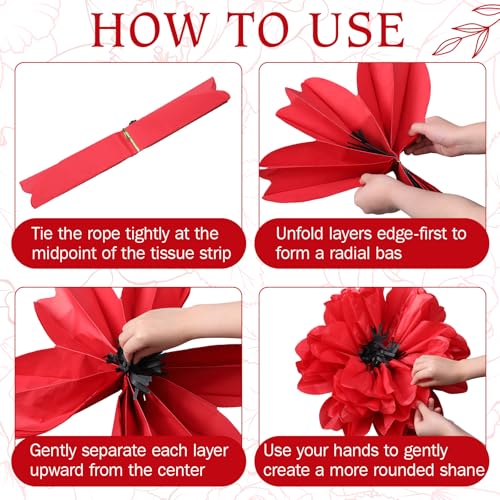 Image of TaoBary Large Colorful Tissue Paper Flowers Giant Fiesta Paper Pom Poms Classroom Wall Decor Mexican Birthday Party Decorations Wedding Backdrop(20 inch and 10 inch,Red, Black,12 Pcs)