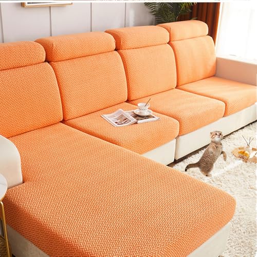 \t@[wJo[ \t@[ʃJo[ R[i[[ Lkf ho kX^C   L  h~ [֗ lGʗp Mܐ IW [WTCY4l|