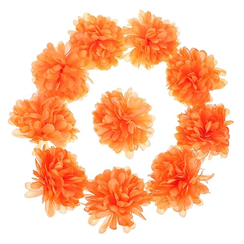 KAILIKETIY 10le p PF̃tFCNt[ ԑ