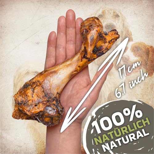 Schweineknochen für Hunde 5 Stück (1,4 kg) | natürlicher Kausnack mit Fleischresten | ideal zur Zahnpflege & Beschäftigung | ohne Zusatzstoff