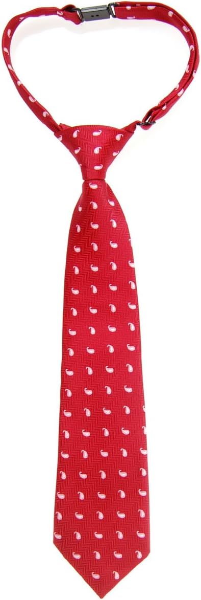 Retreez Small Paisley Pattern Woven Microfiber Pre-tied Boy's Tie