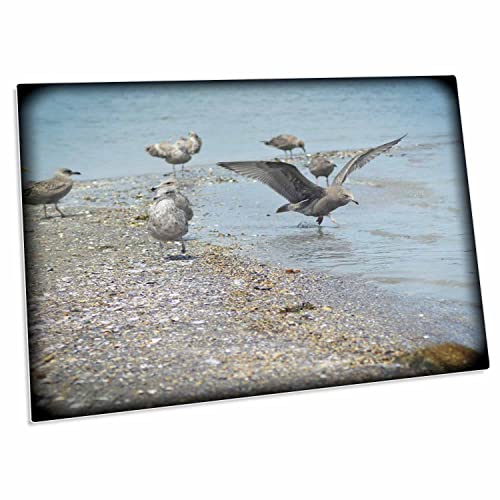 3dRose Dancing on The Water Desk Pad 23" x 16"