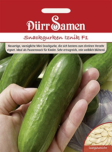 Dürr-Samen - Snackgurke Iznik F1 Saatgut