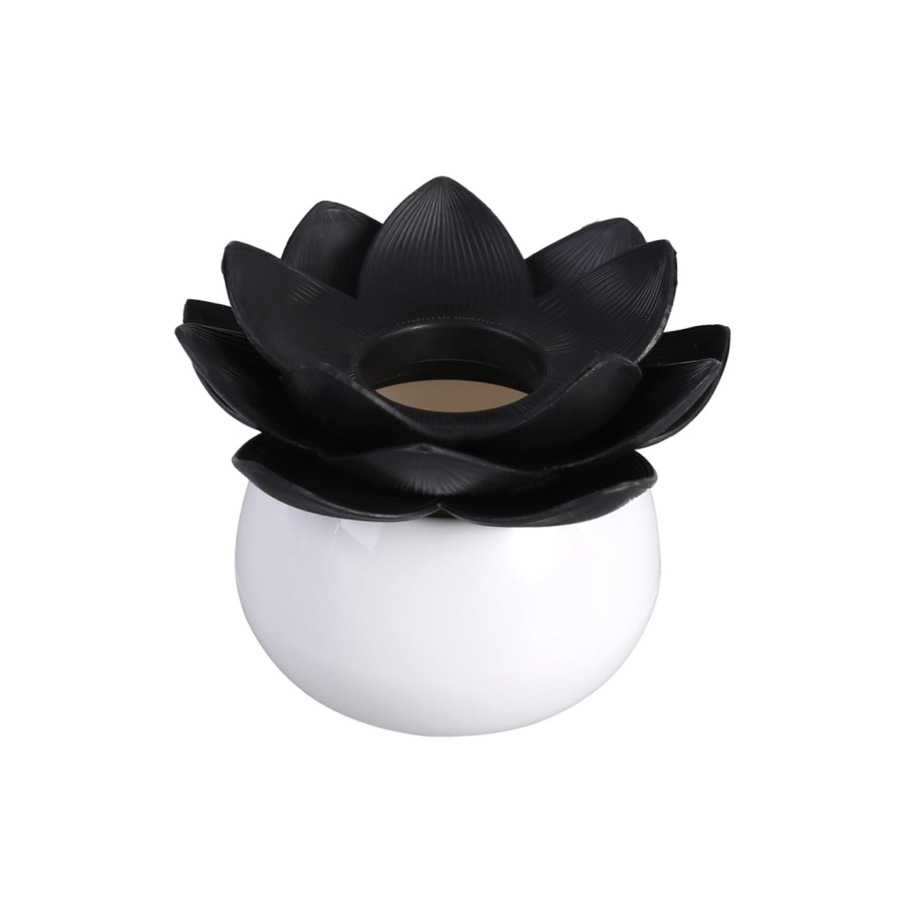 NAMOARLY Box Swab Organizer Swab Holder Travel Toothpick Travel Dispenser Toothpick Dispenser Lotus Holder Toothpick Organizer Black