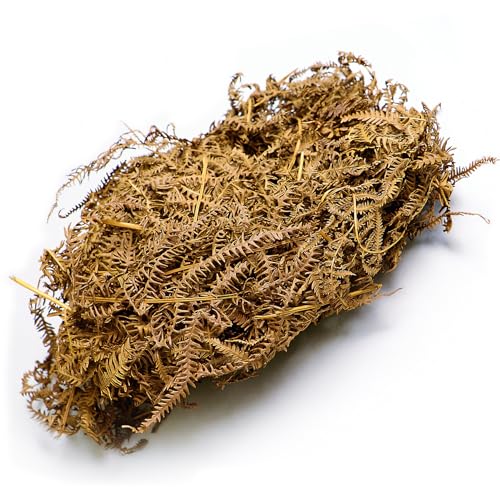 M&S Reptilien Farnblätter im Beutel Verpackungsgrößen 1-2l