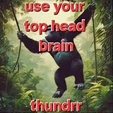 THUNDRR