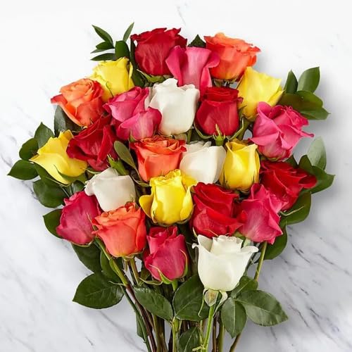 100pcs Rose Flower Seeds Mixed