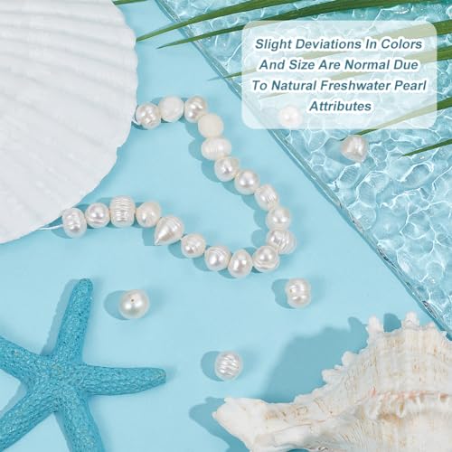 Beebeecraft 1 Box 23~24Pcs/Strand Natural Cultured Freshwater Pearl Beads 7~8.5mm Potato Round Irregular White Loose Pearl Beads for Summer Jewellery Making Bracelet Necklace Craft (Hole: 0.5mm) - Image 4