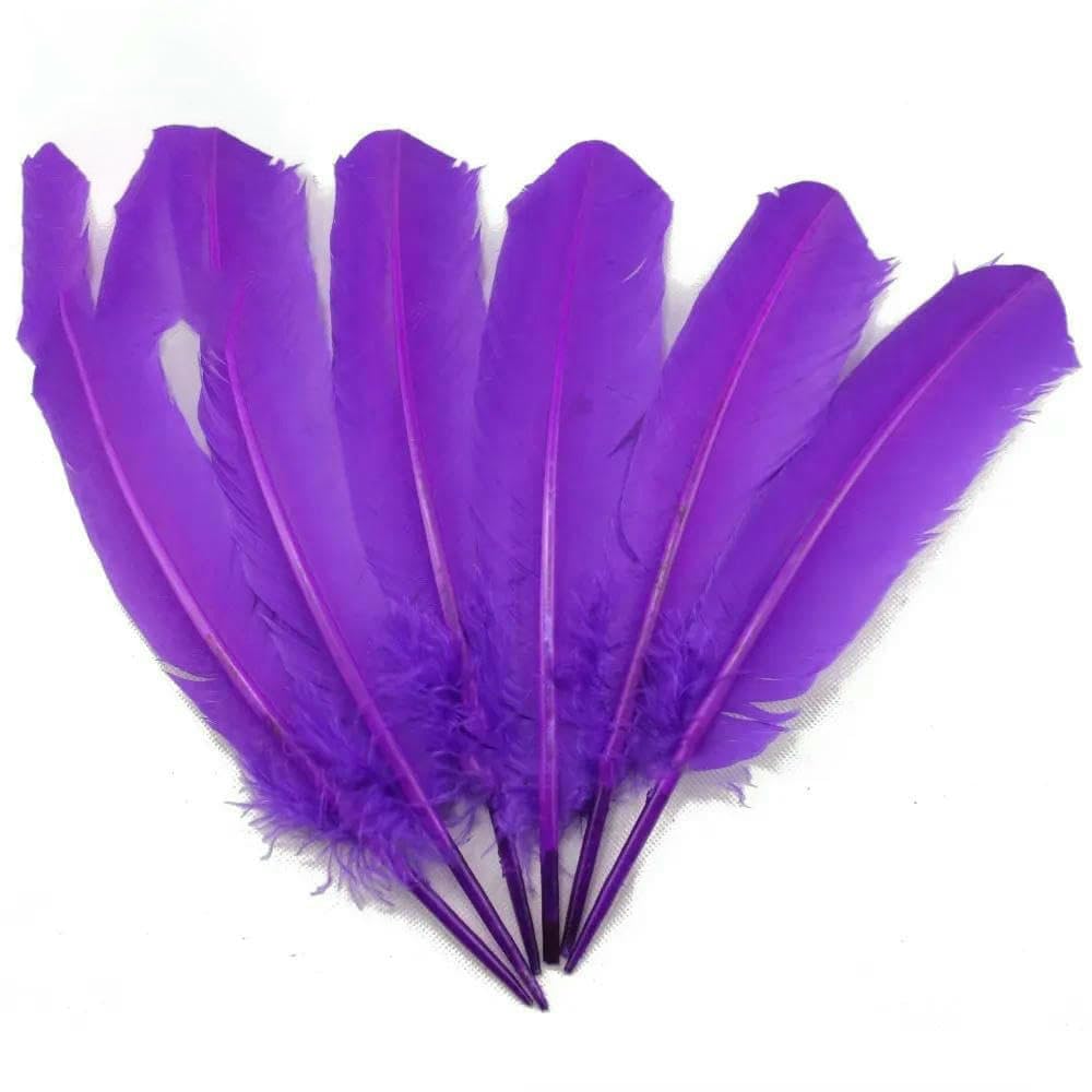 Plumes de faisan de carnaval pour carnaval, piquants de dinde, carnaval, coiffe, carnaval, aile, 28-33 cm, 11-13 pouces, 10-100 pièces - Vert fruit - 10 pièces