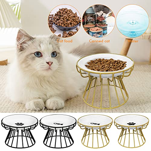Whisker-Friendly Anti-Vomit Cat Plate,Cat Bowl-Raised Cat Food Bowl,Elevated Cat Feeder Bowl With Metal Stand,Ceramic Shallow Cat Dish,Anti Vomiting Cat Bowls (Gold Base With Fishbone Plate) #TOP3