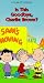 Is This Goodbye, Charlie Brown? [VHS]