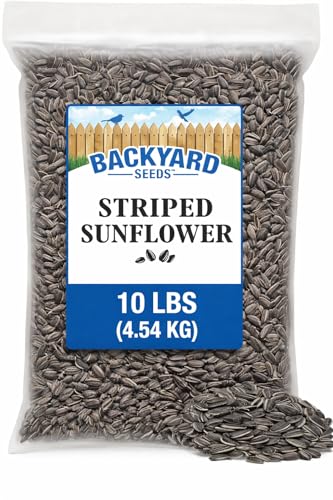 Image of CountryMax 10 LB Striped Sunflower Seeds 10 lb | High-Energy Wild Bird Feed for Cardinals, Blue Jays & Woodpeckers