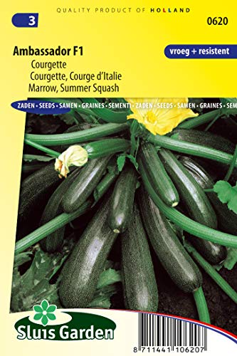 Courgette Ambassador F1 - Légumes ou plantes à fruit