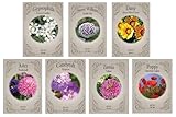 Set of 7 Classic Cottage Garden Seed Collection –...