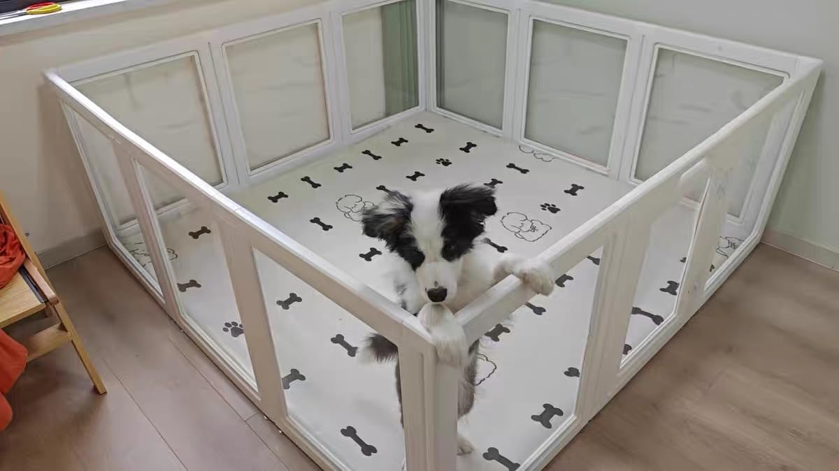 Box per cani in acrilico per interni, 12 pezzi, colore: bianco