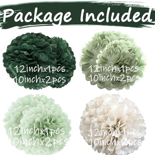 Image of Sage Green Tissue Paper Flower Pom Poms Kit 12pieces for Wedding Bridal Shower Engagement Bachelorette Birthday Party Decorations (Boho Sage Green)