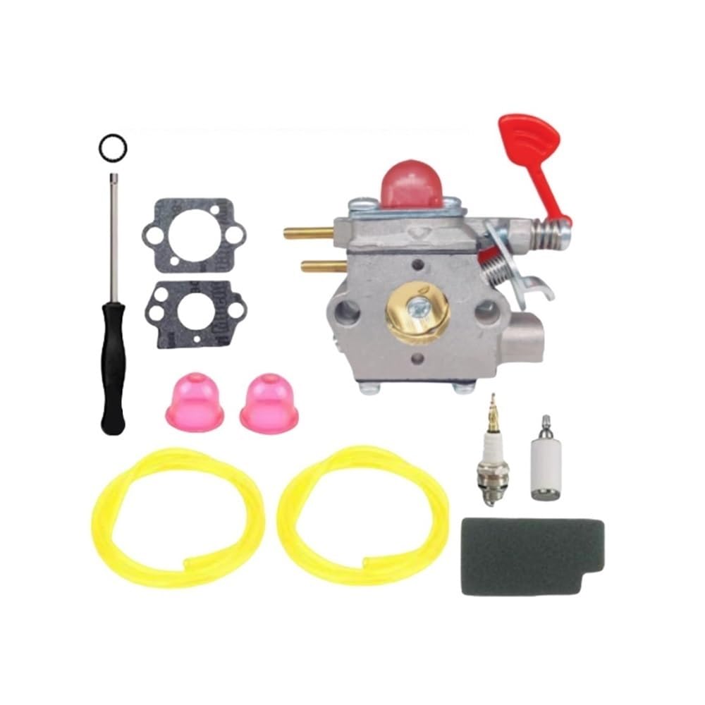 Carburateur WT875A pour PPB430VS entretenir le jardin facilement 545081855