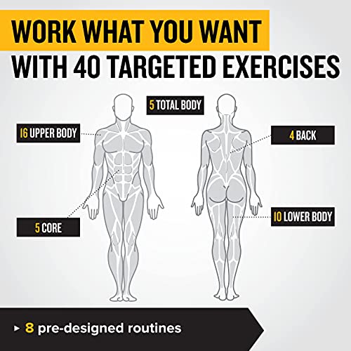 NewMe Fitness Workout Posters for Home Gym, Dumbbell Exercise Posters for Full Body Workout, Core Abs Legs Glutes & Upper Body Training Program (Vol 1) - Thumbnail 7