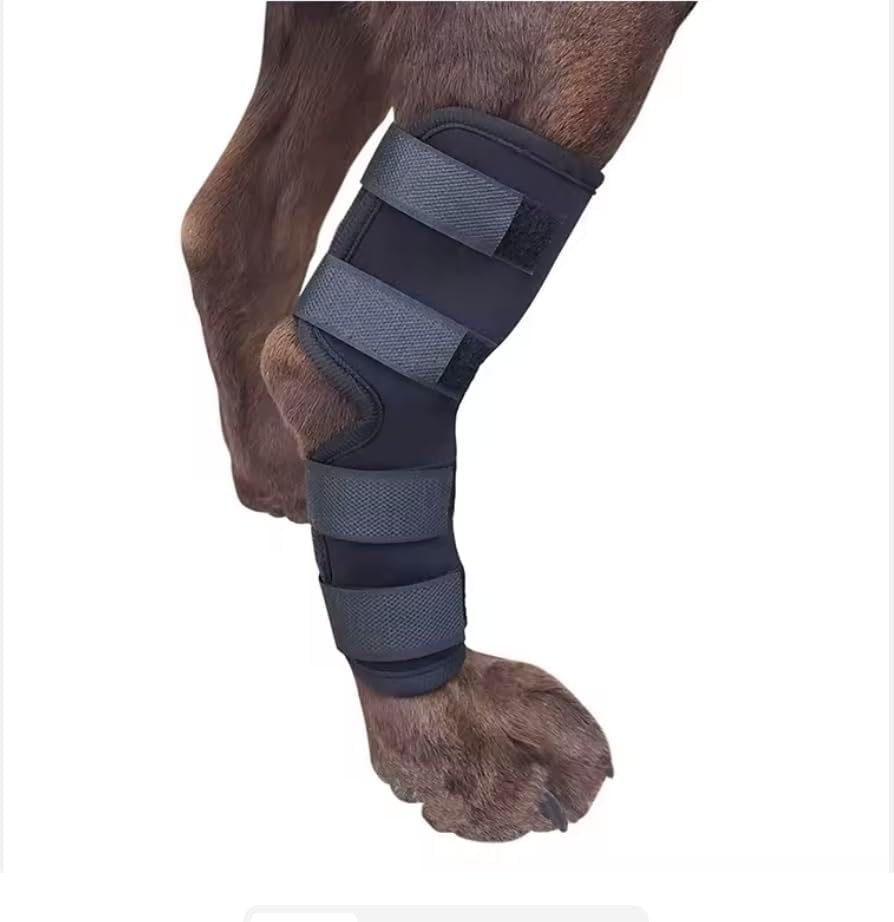 Dog Knee Brace Rear Leg Support for Dogs ACL CCL Ligament Support Adjustable Hock Joint Brace for Arthritis Injury Recovery (Small)