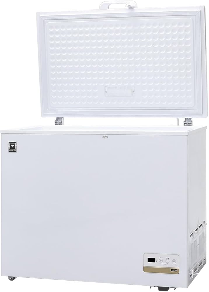 値下げ不可】レマコム 冷凍ストッカー 246ℓ レマコム 三温度帯 冷凍 値下げ不可】レマコム 冷凍ストッカー 246ℓ レマコム 三温度帯 冷凍