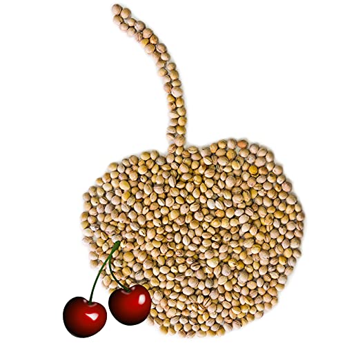 Kirschkerne lose für Wärmekissen 1-30 kg Kirschkernkissen Kissen Waermekissen Baby Füllung Körnerkissen Kerne Koernerkissen Füllmaterial Kirschkern Auswahl Petigi Menge:1 kg (13.19EUR/kg)