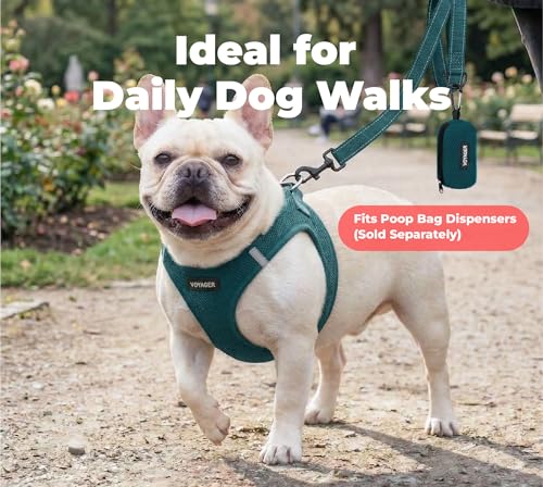 Image of Best Pet Supplies Voyager Reflective Dog Leash or Collar with Neoprene Handle, for Small, Medium, and Large Breed Puppies, Cute and Heavy Duty for Walking, Running and Training - Blue (Leash), S
