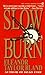 Slow Burn (Marti MacAlister Mystery)