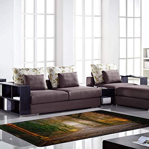 Grand tapis de porte vert velours corail Ruchen tapis entrée 152x99