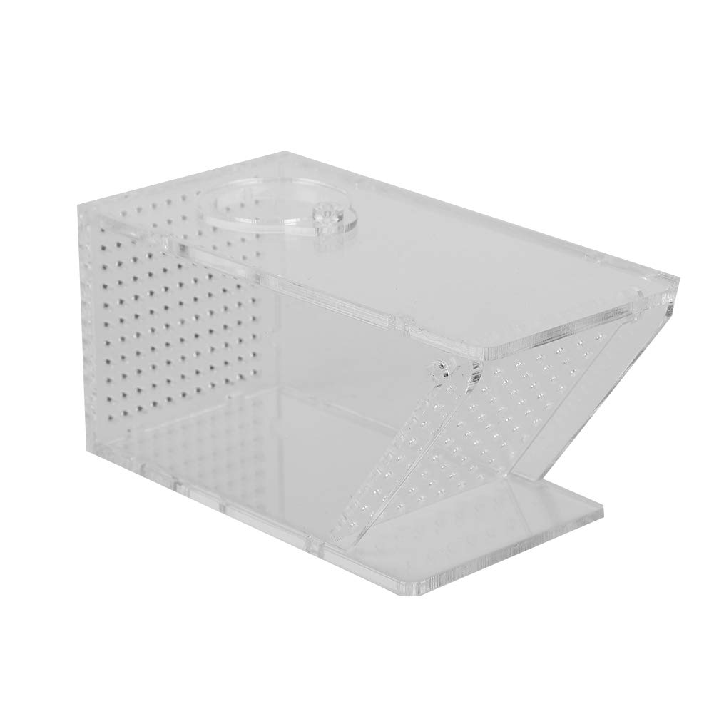 Qcwwy Boîte de Capture de Piège à Crabe, Boîte de Capture de Piège à Poisson Acrylique Aquarium Poissons d'eau Douce Boîte de Capture de Piège à Crabe à Sens Unique