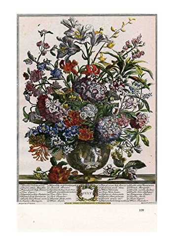 Affiche encadrée Juillet Robert Furber décoration botanique grand format mat
