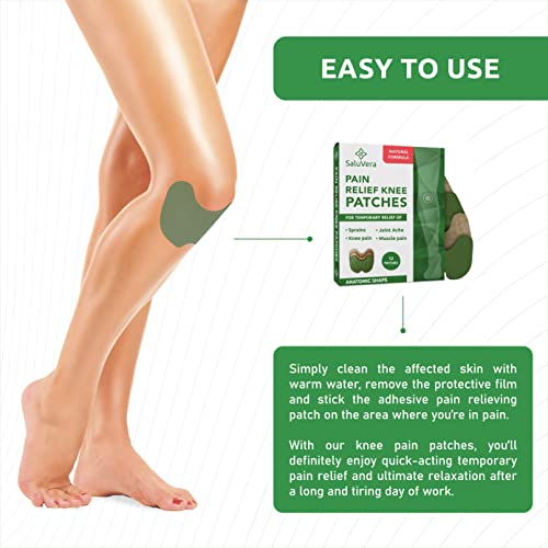Pain Relief Patches | Warming Herbal Plaster Pain Patches | Knee Pain Patch Paste | Heat Patches For Pain Relief And Inflammation | Long Lasting Relief Of Joint Pains | 12 Count #TOP5