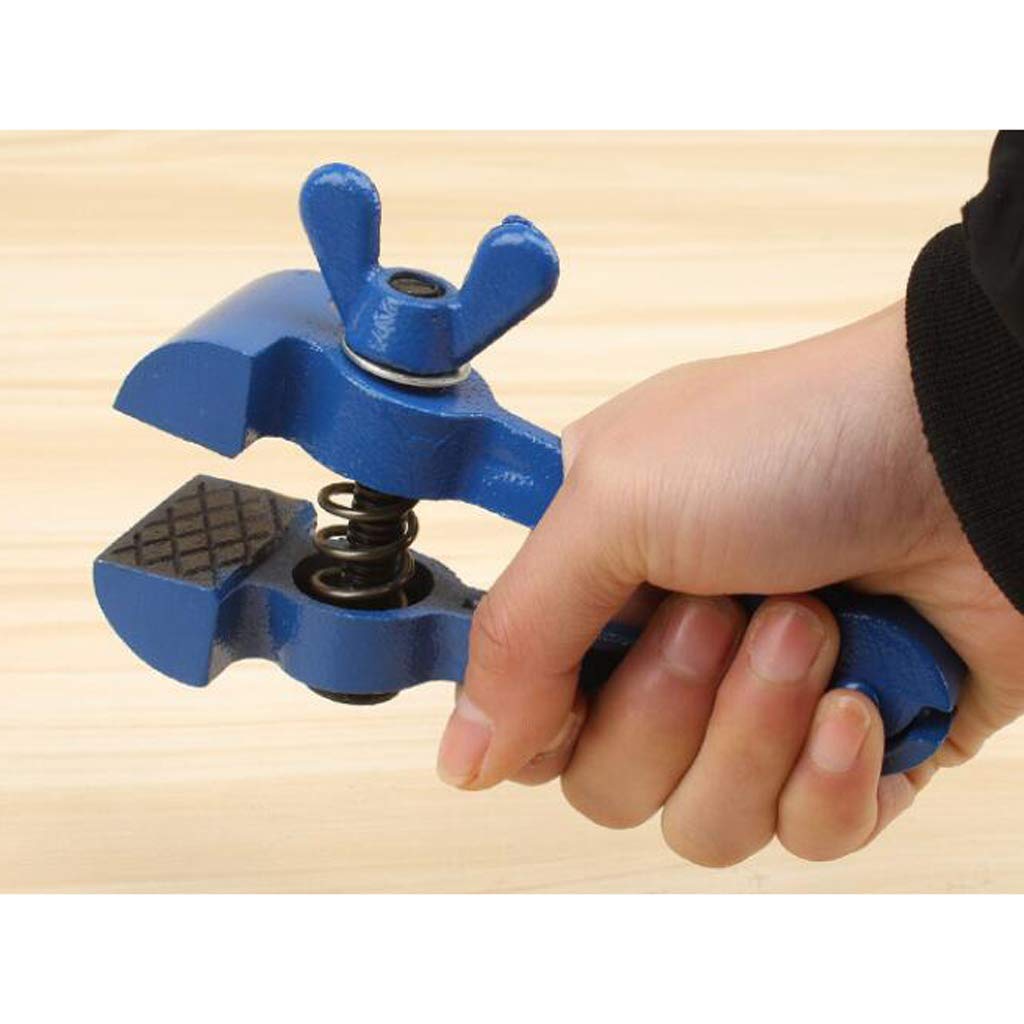 joyMerit - Stahl Feilkloben Zange - 120 mm, Blau