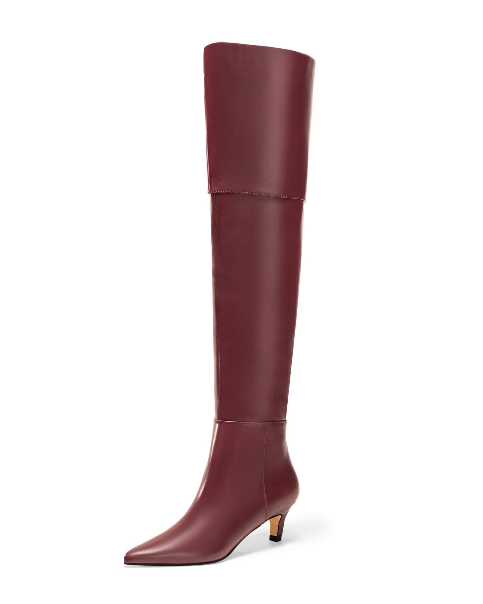 Coutgo Womens Knee High Boots Kitten Low Heel Pointed Toe Tall Long Boots Fall Winter Shoes
