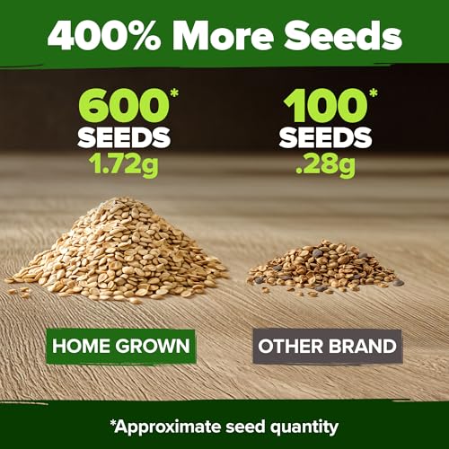 Image of HOME GROWN Beefsteak Tomato Seeds 600+ Heirloom Non-GMO Seeds for Planting, High Germination, Indeterminate Extra Large Meaty Slicing Tomato,Prolific Garden Crop, Sandwich Ready (Solanum lycopersicum)