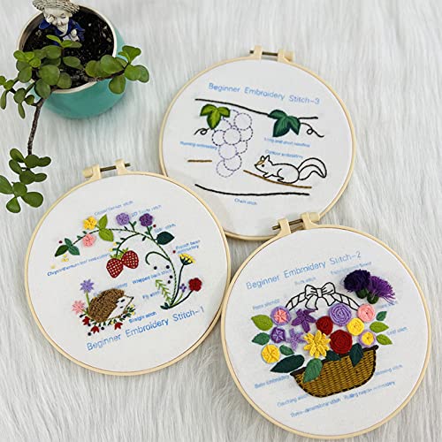 Conjuntos de bordados estampados com padrão e instruções kits de ponto cruz para iniciantes kits de