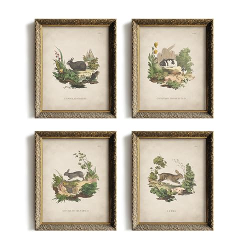 Vintage Rabbit Wall Art - Spring Easter Bunny Poster Print Set - Modern Farmhouse Easter Eggs Decoration for Bedroom Living Room - Rustic French Country Decor - Ornament Craft Gift for Women