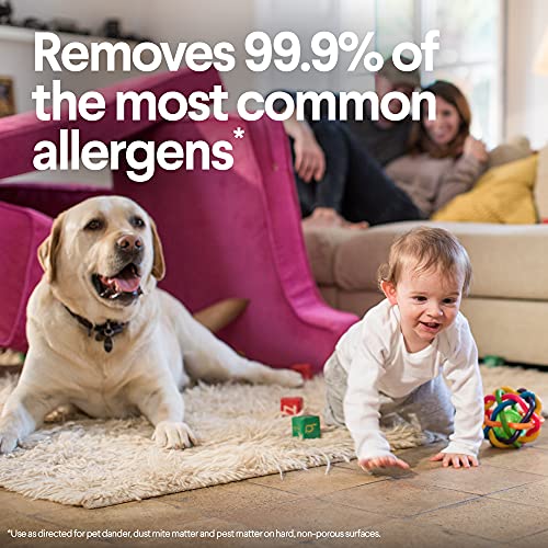 Clorox Salviette disinfettanti, profumo fresco, 35...