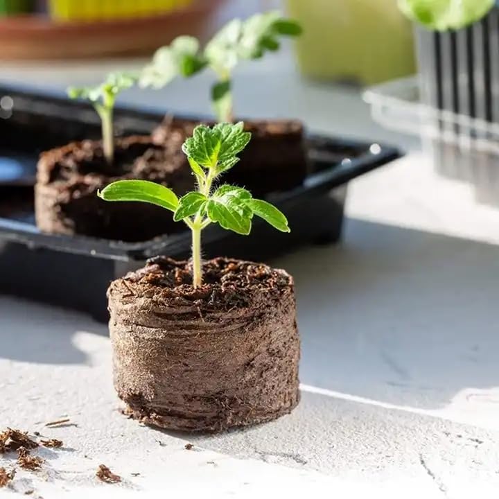200 Stück Kokossubstrat-Quelltabs natürliche Kokos Quelltabletten Anzuchterde Growtabs Aussaat Quelltabs torffrei