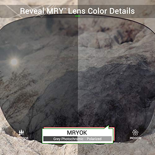 Image of Mryok Replacement Lenses for Oakley Big Taco OO9173 - Options