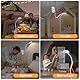 ZAPLIT 61 LED Akku Leselampe Bett –【3 Farbmodi & 10 Helligkeiten】 2000mAh Klemmlampe mit USB-C, 40cm Flexibler Schwanenhals, Buchlampe, Klemmleuchte für Schlafzimmer, Schreibtisch & Camping