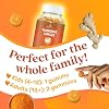 BeLive Elderberry Vitamin C + Turmeric Bundle for Immune Support, Mobility Support, Healthy Bones & Teeth