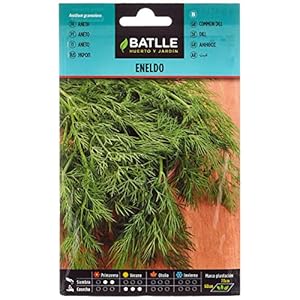 Batlle kruidenzaden – dil (zaden – 20 cm)