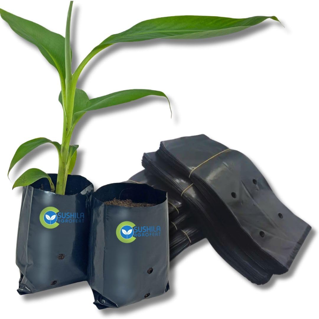 Nursery Plant Growing Bags for Seed Germination & Propagation – 5x4 Inch 250pcs UV-Protected, Indoor Outdoor Gardening, Terrace Gardening, Herbs, Vegetables, Reusable, Drainage Holes