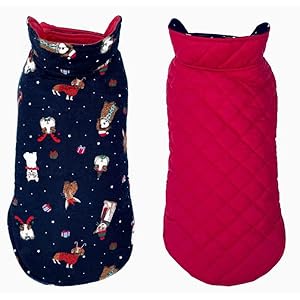 Pets Planet Dog Winter Clothes Reversible Dog Jacket Cat Printed Red Color Design Warm Dog Coat Windproof Pets Cold Weather Wearing