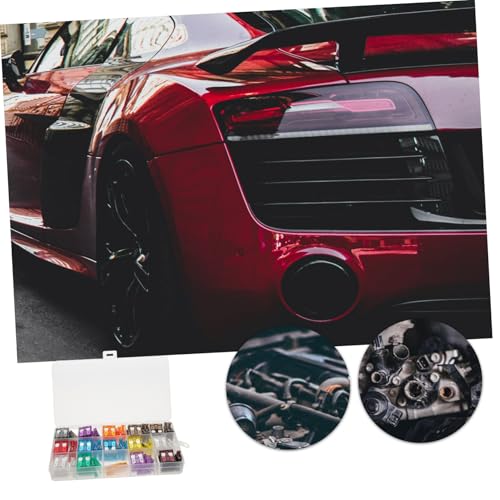 Kit de reemplazo de fusibles IMIKEYA, 150 piezas para automóvil, camión, RV y motocicleta, variedad estándar de bajo perfil, con caja organizada de almacenamiento miniatura 3