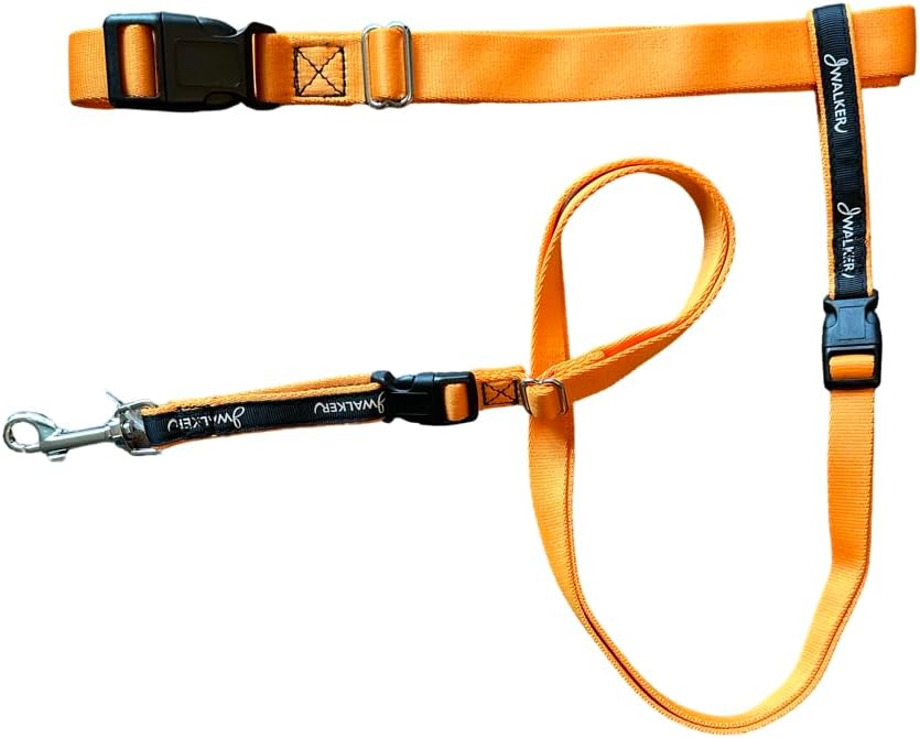 JWalker Dog 4-in-1 Hands-Free Walking Utility Dog Leash (Mountain Gray, Large 1" Wide)