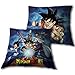 Twentyfeet - Cuscino Dragon Ball Z, 35 x 35 cm, fronte/retro